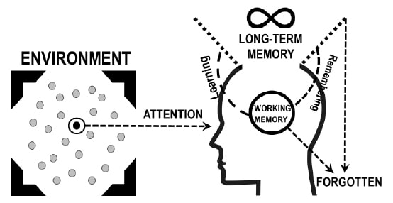 An infographic showing information from the environment being perceived by the eyes and then reaching the brain. The brain shows working memory, long-term memory, learning, remembering, and forgotten.